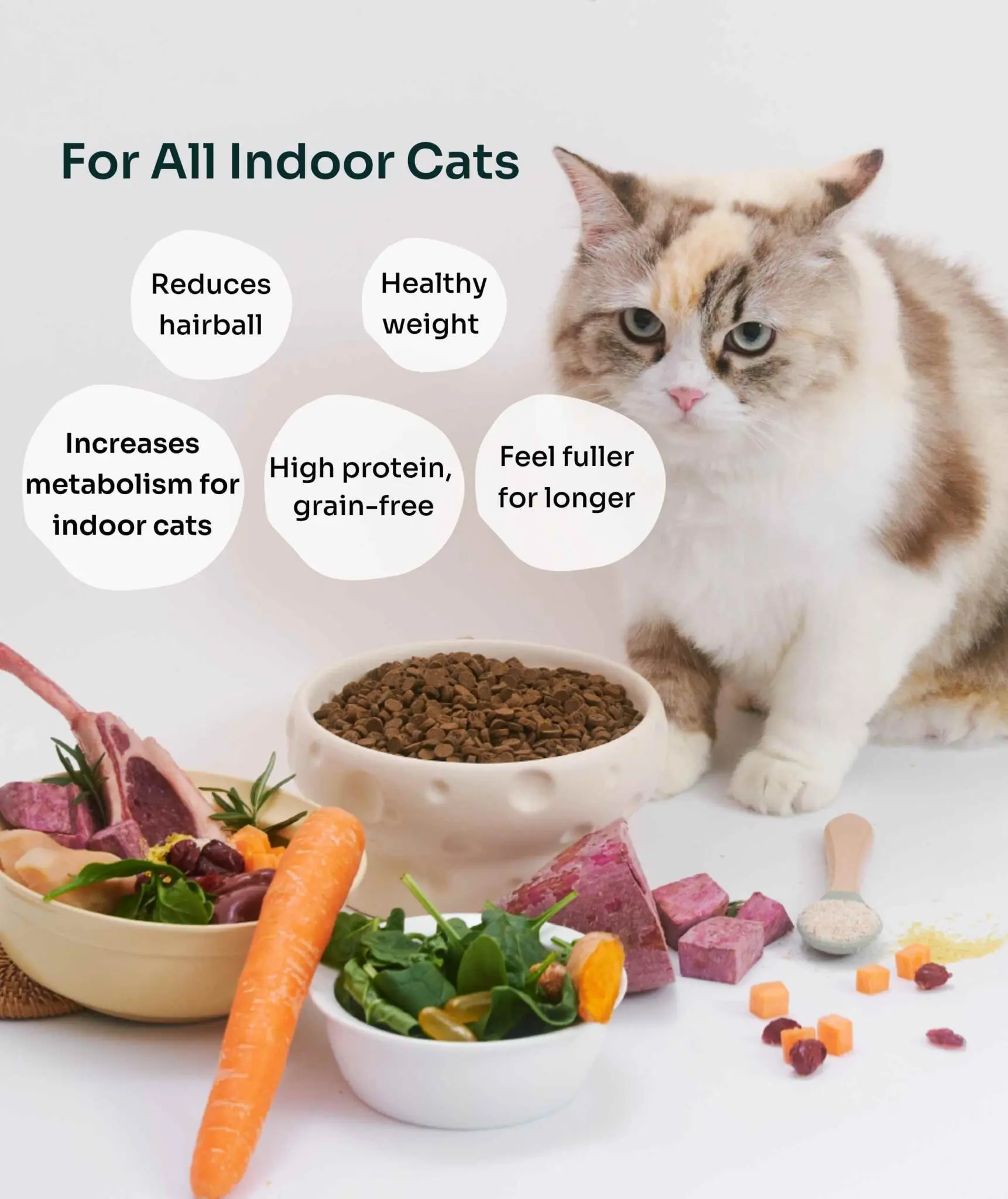(For Indoor Cats) Slow-Baked Fresh Chicken & Lamb Weight Care - Image 4