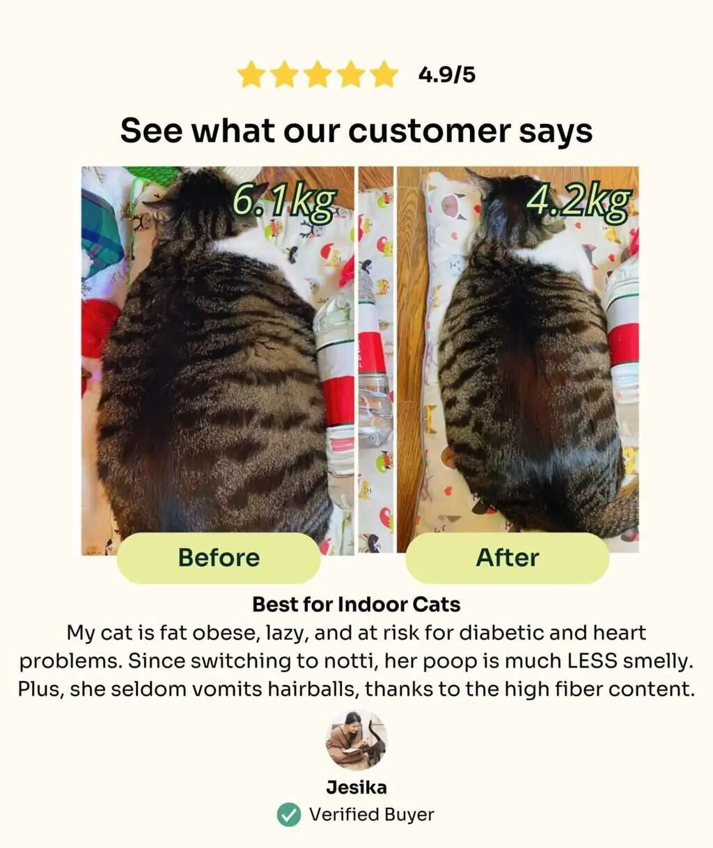 (For Indoor Cats) Slow-Baked Fresh Chicken & Lamb Weight Care - Image 8