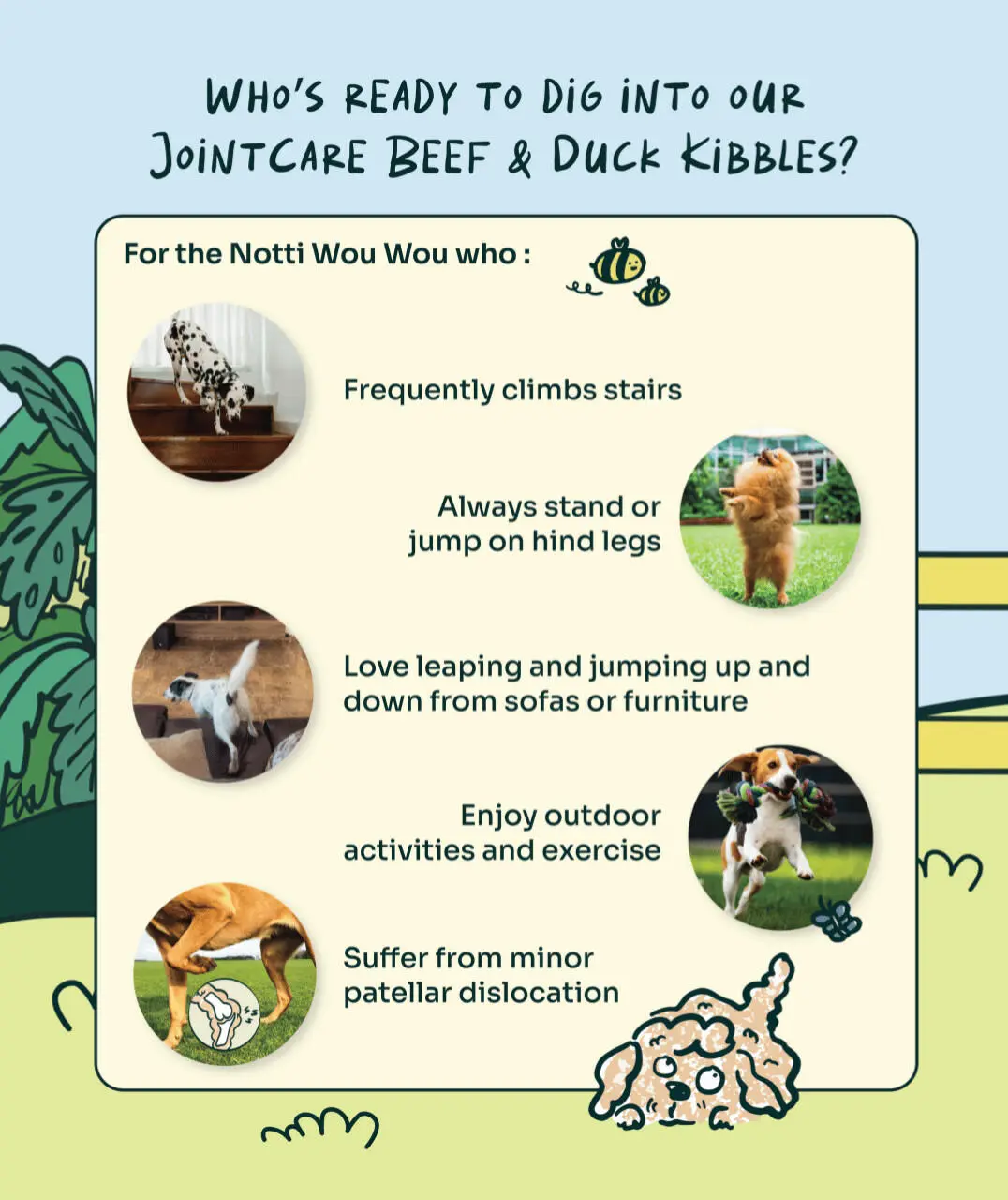 Joint Care Fresh Duck & Beef - Image 12