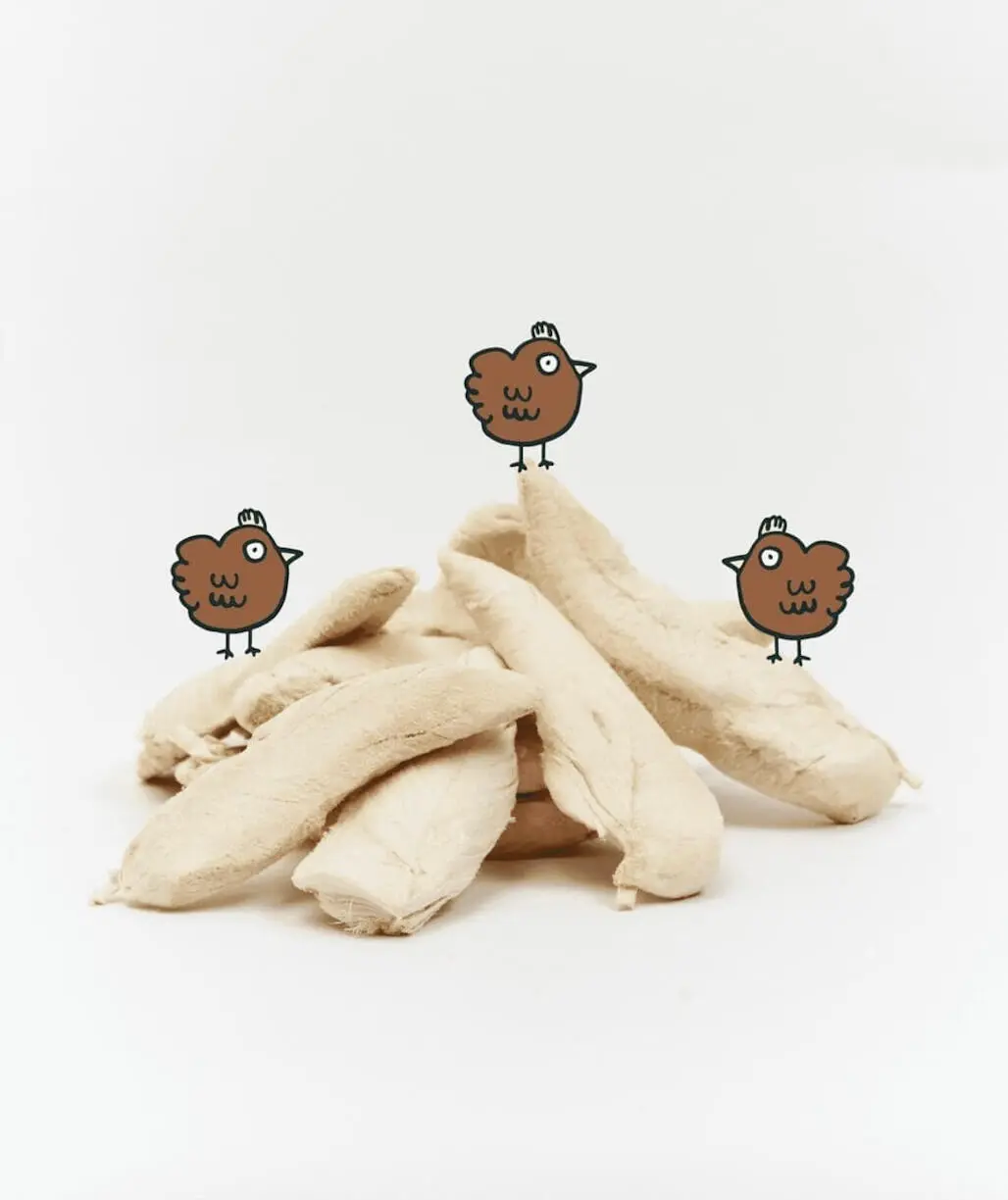 New Cat Pawrent Kit - Image 5